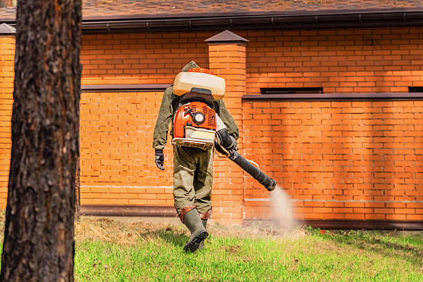Trusted Bed Bug Control service in Leadington, MO - Nex Pest Control
